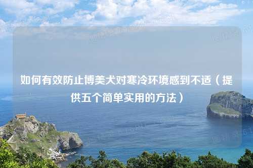 如何有效防止博美犬对寒冷环境感到不适（提供五个简单实用的方法）