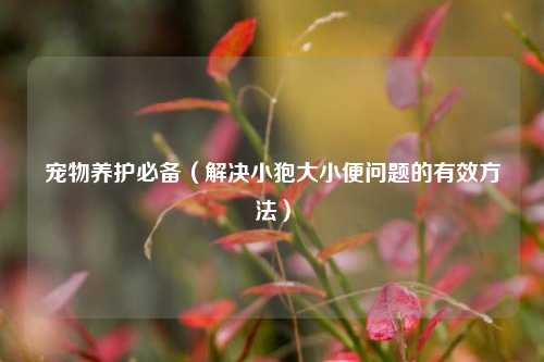 宠物养护必备（解决小狍大小便问题的有效方法）