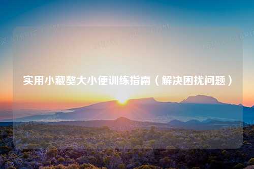 实用小藏獒大小便训练指南（解决困扰问题）