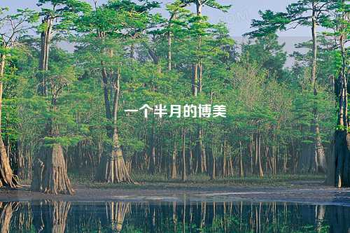 一个半月的博美