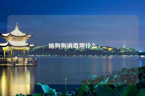 给狗狗消毒用什么