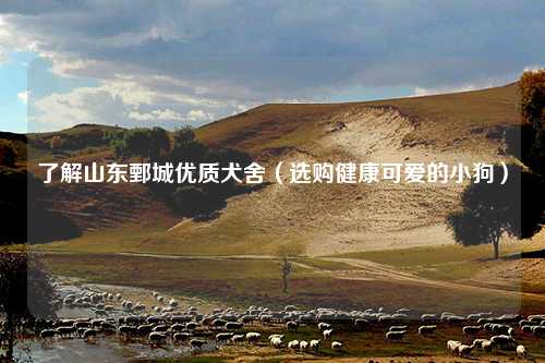了解山东鄄城优质犬舍（选购健康可爱的小狗）