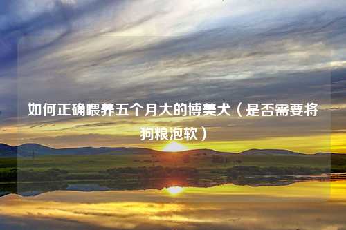如何正确喂养五个月大的博美犬（是否需要将狗粮泡软）