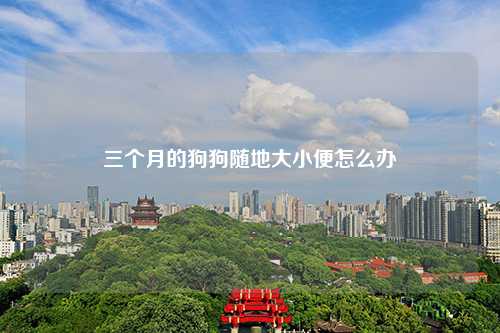 三个月的狗狗随地大小便怎么办