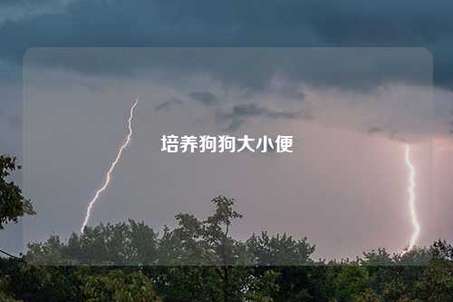 培养狗狗大小便