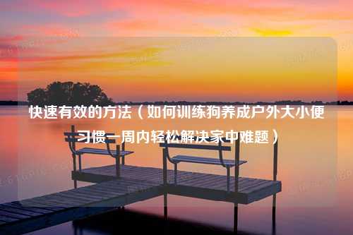 快速有效的方法（如何训练狗养成户外大小便习惯一周内轻松解决家中难题）
