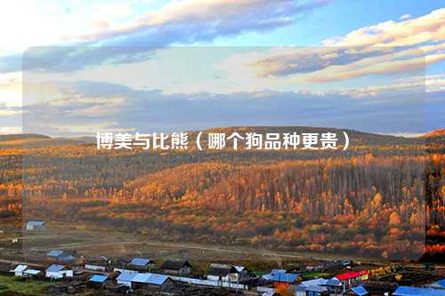 博美与比熊（哪个狗品种更贵）