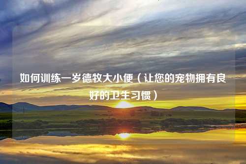如何训练一岁德牧大小便（让您的宠物拥有良好的卫生习惯）