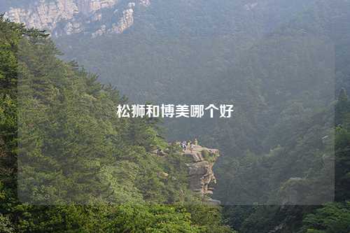 松狮和博美哪个好