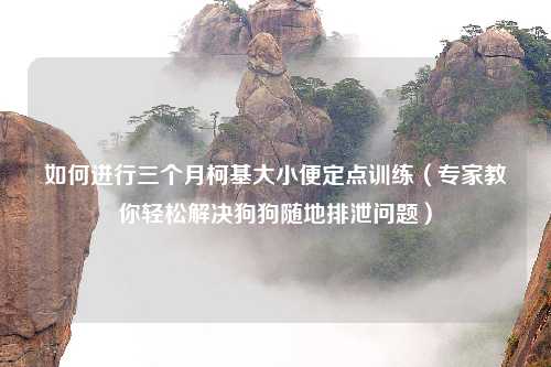 如何进行三个月柯基大小便定点训练（专家教你轻松解决狗狗随地排泄问题）