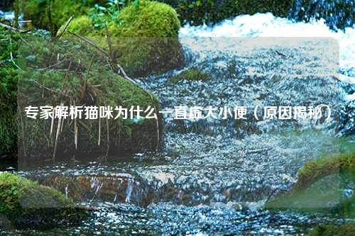 专家解析猫咪为什么一直虚大小便（原因揭秘）
