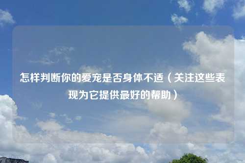 怎样判断你的爱宠是否身体不适（关注这些表现为它提供最好的帮助）