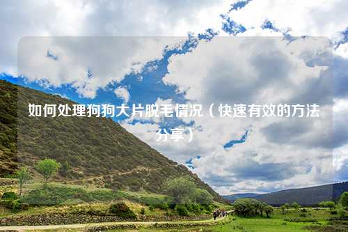 如何处理狗狗大片脱毛情况（快速有效的方法分享）