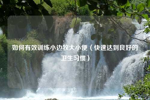 如何有效训练小边牧大小便（快速达到良好的卫生习惯）