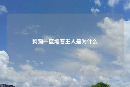 狗狗一直缠着主人是为什么