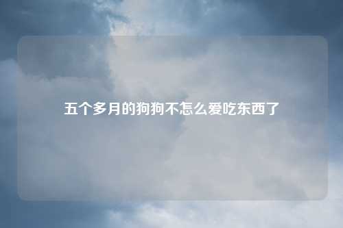 五个多月的狗狗不怎么爱吃东西了