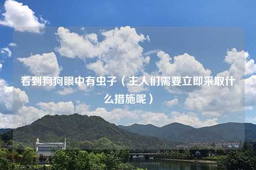 看到狗狗眼中有虫子（主人们需要立即采取什么措施呢）