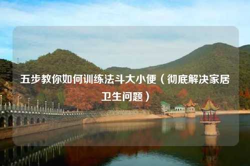 五步教你如何训练法斗大小便（彻底解决家居卫生问题）