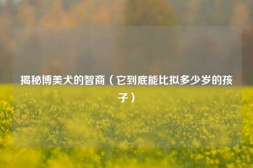 揭秘博美犬的智商（它到底能比拟多少岁的孩子）