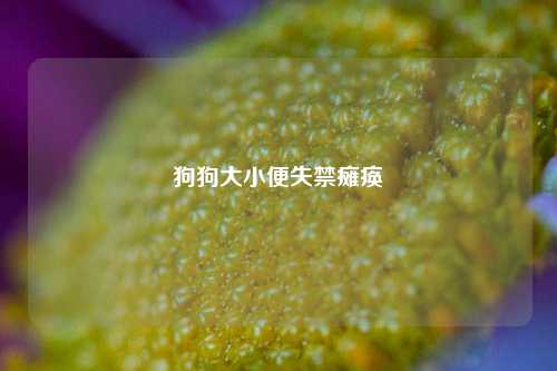 狗狗大小便失禁瘫痪