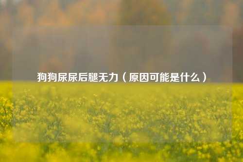 狗狗尿尿后腿无力（原因可能是什么）