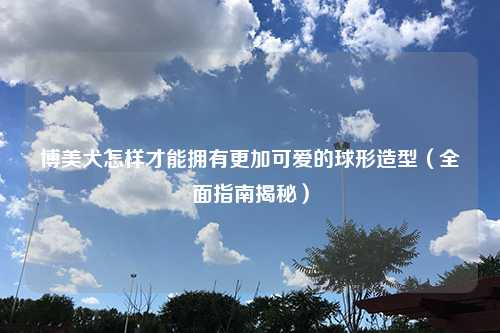 博美犬怎样才能拥有更加可爱的球形造型（全面指南揭秘）