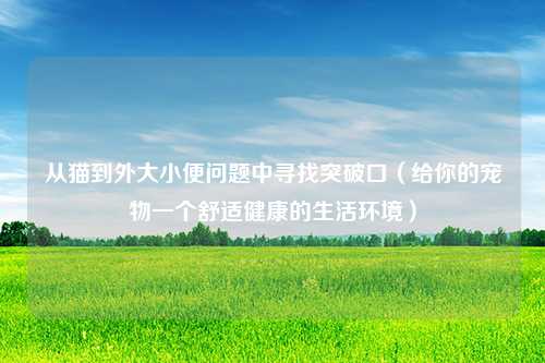 从猫到外大小便问题中寻找突破口（给你的宠物一个舒适健康的生活环境）