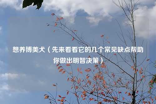 想养博美犬（先来看看它的几个常见缺点帮助你做出明智决策）