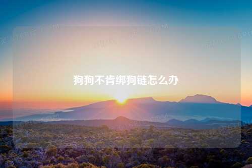 狗狗不肯绑狗链怎么办