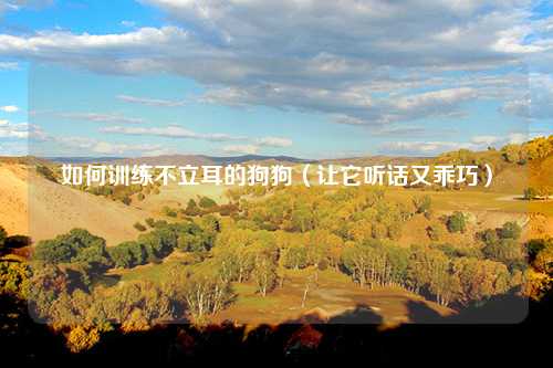 如何训练不立耳的狗狗（让它听话又乖巧）