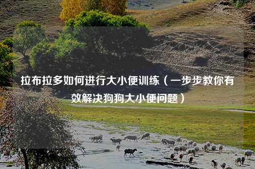 拉布拉多如何进行大小便训练（一步步教你有效解决狗狗大小便问题）