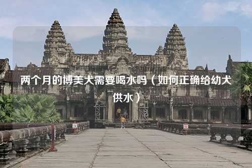 两个月的博美犬需要喝水吗（如何正确给幼犬供水）