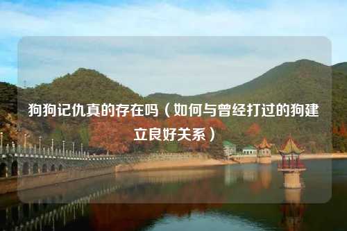 狗狗记仇真的存在吗（如何与曾经打过的狗建立良好关系）