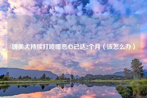 博美犬持续打喷嚏恶心已达2个月（该怎么办）