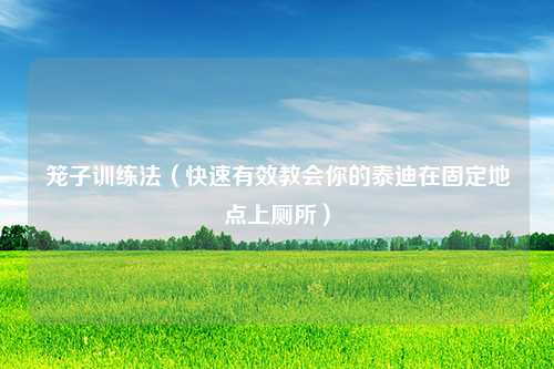 笼子训练法（快速有效教会你的泰迪在固定地点上厕所）
