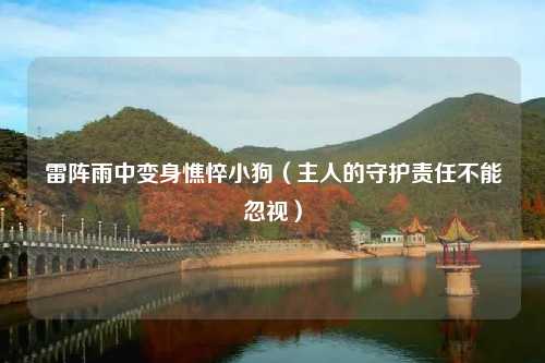 雷阵雨中变身憔悴小狗（主人的守护责任不能忽视）