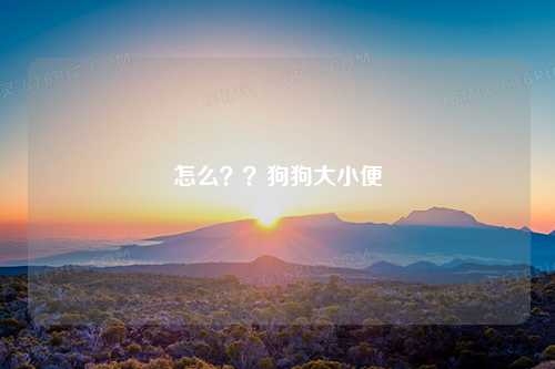 怎么？？狗狗大小便