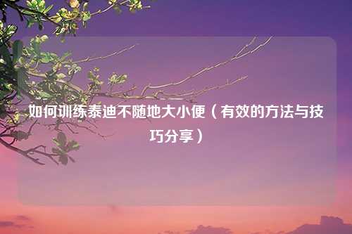 如何训练泰迪不随地大小便（有效的方法与技巧分享）
