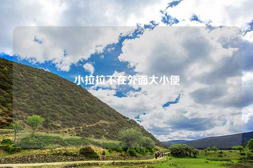 小拉拉不在外面大小便