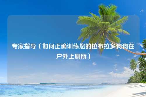专家指导（如何正确训练您的拉布拉多狗狗在户外上厕所）