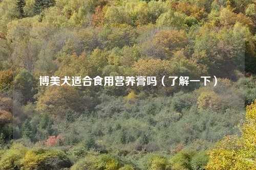 博美犬适合食用营养膏吗（了解一下）