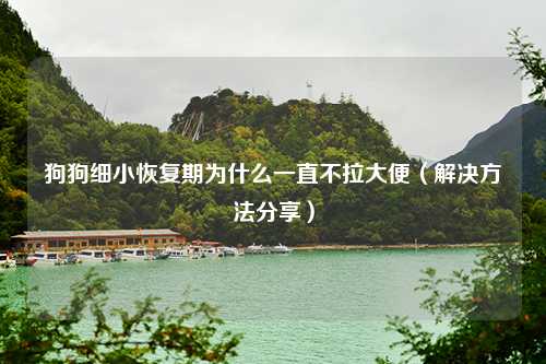 狗狗细小恢复期为什么一直不拉大便（解决方法分享）