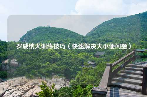 罗威纳犬训练技巧（快速解决大小便问题）