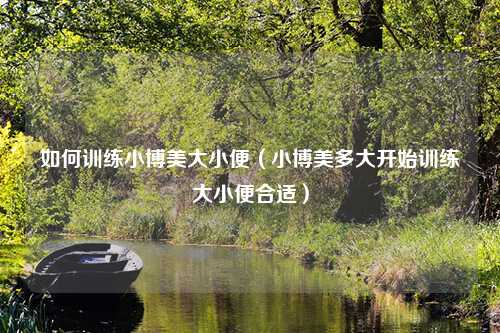 如何训练小博美大小便（小博美多大开始训练大小便合适）