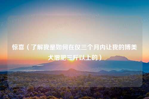 惊喜（了解我是如何在仅三个月内让我的博美犬增肥三斤以上的）