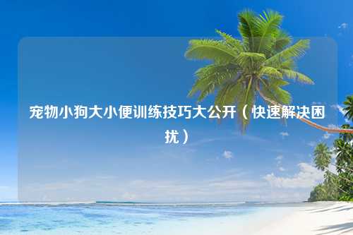 宠物小狗大小便训练技巧大公开（快速解决困扰）