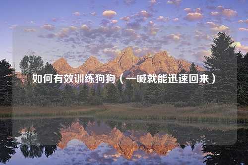 如何有效训练狗狗（一喊就能迅速回来）