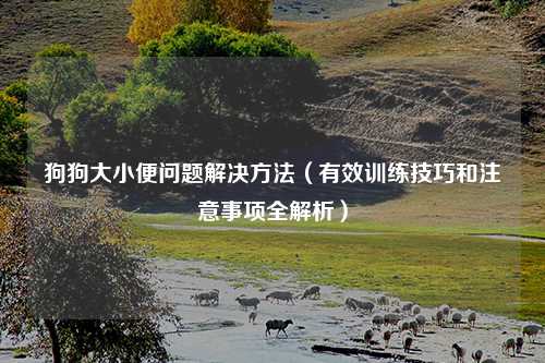 狗狗大小便问题解决方法（有效训练技巧和注意事项全解析）
