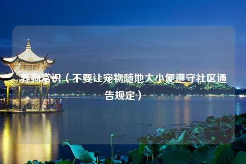 养狗常识（不要让宠物随地大小便遵守社区通告规定）