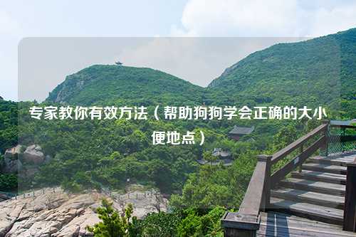 专家教你有效方法（帮助狗狗学会正确的大小便地点）